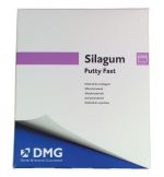 Silagum Dosen putty fast 2 x 262ml (DMG)