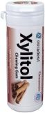 Xylitol Chewing Gum Dose Zimt (Hager & Werken)