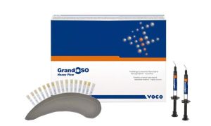 GrandioSO Heavy Flow Spritzen B2 (Voco)
